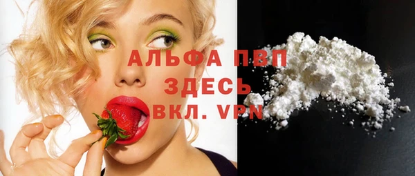 прущие грибы Армянск