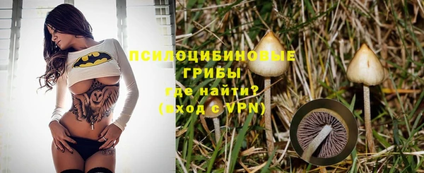 прущие грибы Армянск